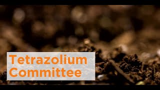 Tetrazolium Committee [upl. by Einot]