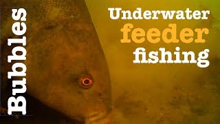 Bubbles  Underwater tench fishing  Breamtime S3 E6 [upl. by Attegroeg]