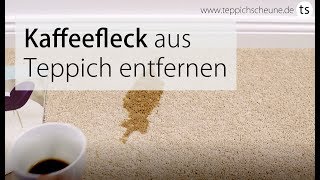 Kaffeeflecken entfernen aus Teppich und Teppichboden OHNE SpezialReinger Teppichscheunede [upl. by Akitan]