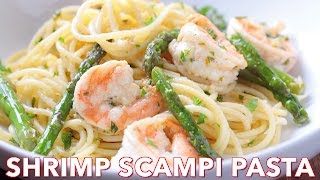 Shrimp Scampi Pasta Recipe  Easy Dinner Dish [upl. by Eelinnej]