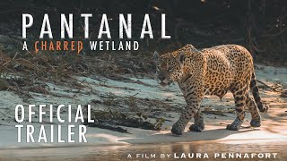 Pantanal A Charred Wetland OFFICIAL TRAILER [upl. by Swen]