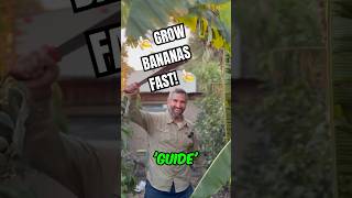 Surprising Tips to Grow Amazing Bananas in Your Backyard 🌿🍌 [upl. by Shewchuk]