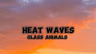 Glass Animals  Heat Waves  Cover song with lyrics video [upl. by Bandur696]