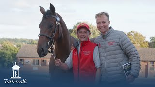 Tattersalls October Yearling Sale Book 1 Day 3 Review 2022 [upl. by Johansen336]