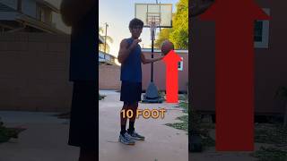 DUNK Or DELETE MY CHANNEL 😭shorts dunking challenge [upl. by Allac607]