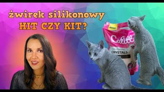 HIT CZY KIT  żwirek silikonowy Calitti  konkurs dla widzów [upl. by Oikim363]