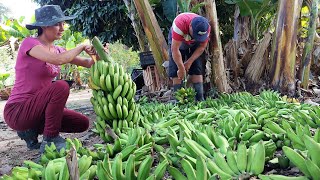 A melhor receita de banana verde para fortalecer as crianças [upl. by Ahsiem858]