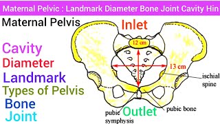 Maternal Pelvic  Anatomy Structure Landmark Diameter Inlet Outlet Cavity Bone Joint Types [upl. by Ahsyad]