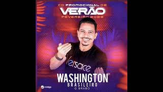 WASHINGTON BRASILEIRO  O AMOR CD VERÃO 2023 [upl. by Johna274]