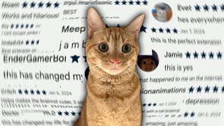 Jambofy How We Made a Chrome Extension for Schlatts Cat [upl. by Asilenna284]