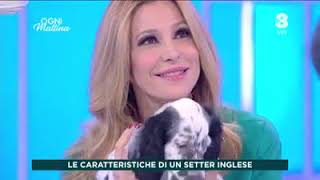 quotOgni Mattinaquot trasmissione Tv8 SkyTv con Adriana Volpe del 26112020 [upl. by Payton95]