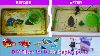 DIY Betta Fish Pond Filter  Easy diy filter for your betta fry tanks [upl. by Tem]