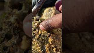 Is This the Rarest Mineral EVER Found gold gems rockhounding [upl. by Ettesel]