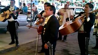 MARIACHI CENTENARIO MAÑANITAS A LA VIRGEN DE GUADALUPE 2012mp4 [upl. by Willard22]