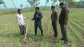 দেশি কৃষি যন্ত্র বিদে ও রোমেলা নানীর ঘড়ঘড়ি [upl. by Bradly]