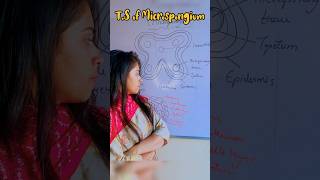 How to draw Microsporangium easily microsporangium  easy trick microsporogenesis shorts youtube [upl. by Shererd]