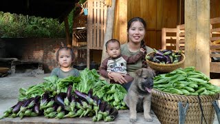 Harvest green vegetables and eggplants to sell at the market  cook with your children [upl. by Aikemat438]