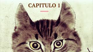 El gato que venia del cielo  Takashi Hiraide  Capitulo 1 [upl. by Sasnak]