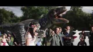 Richie The Raptor Crashes A Wedding [upl. by Niamart]