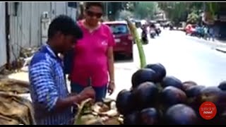 Taal Fruit Or Taal Saas AKA Taar Gola  Summer Season Street Food Of Mumbai Maharashtra India [upl. by Vivia]