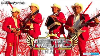 Principes De Sinaloa  En Vivo Desde El Chinal Puras Cumbias 2019 [upl. by Eirrab175]