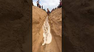 Small trench connects river to ocean [upl. by Ayanet]