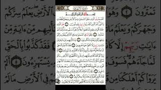 Suratul annaam islamicshorts explore urdu quranictranslation sviralvideo trending [upl. by Ihn782]