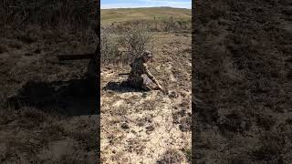 Shooting BEDDED Turkey hunting hunt turkey montana merriams [upl. by Ecirahc]