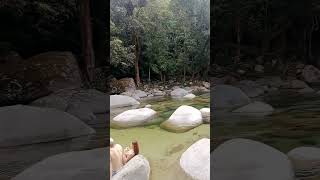 Mossman Gorge A Must Visit Place in Australia nature asmr travel viralvideo [upl. by Eiveneg264]