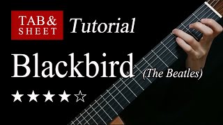 Blackbird The Beatles  Fingerstyle Lesson  TAB [upl. by Dnomse152]