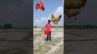 Flying crying babies scooter forg lizard amp parrot catching vs hen 😄 shortsfeed shorts [upl. by Atiuqam]