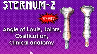 Sternum Anatomy Bangla2  For VIVA Hons Sternal angle Joints OssificationClinical anatomy [upl. by Keel826]