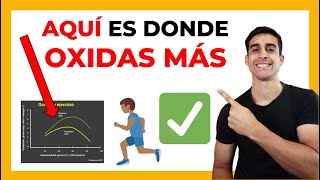 🥇 El SECRETO para OXIDAR quemar MAS GRASAS  METABOLISMO DE LOS LIPIDOS en el ejercicio [upl. by Nolrev]