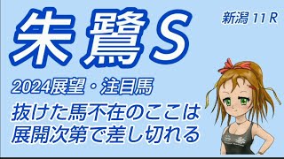 【朱鷺ステークス2024】展望◆抜けた馬不在のここは展開次第で差し切れる [upl. by Akienom]