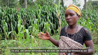 Harnessing the Power of Agroforestry [upl. by Tomlinson]