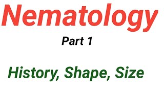 Nematologysize shape part 1 [upl. by Nathan673]