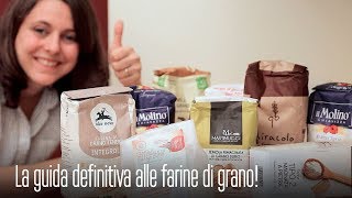 LA GUIDA DEFINITIVA ALLE FARINE di GRANO TUTTI i TIPI le CARATTERISTICHE e COME USARLE [upl. by Anewor]