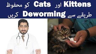 Kittens  Cat Deworming Information  BenefitsWorms Types Schedule  Animalia  Vet Furqan [upl. by Moore272]