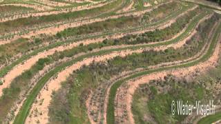 Vidéo aérienne du Vignoble du Layon à St Aubin de Luigné [upl. by Ines]