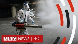 新冠疫情懶人包：為何中國仍在堅持「清零」政策？－ BBC News 中文 [upl. by Eb]