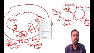 Biological oxidation Biochemistry  Electron transport chain  oxidative phosphorylation [upl. by Augustine]