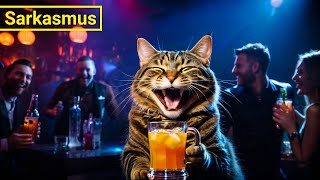 Diese Katze GEHT AB im NACHTCLUB Lustig  Sarkasmus Katze Folge 2 [upl. by Mcevoy]