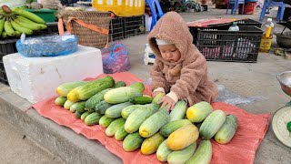 Harvesting cucumber gardens to sell buying slippers for children to learn to walk and cooking [upl. by Gradey]