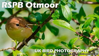 Bird Photography at RSPB Otmoor with the Sony A7IV amp Sony FE 200600mm F5663 G OSS [upl. by Tilla]