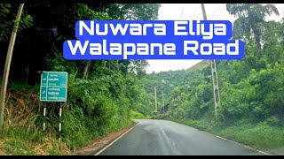 Breathtaking Nuwara EliyaWalapane Road  SRI LANKA [upl. by Nsaj127]