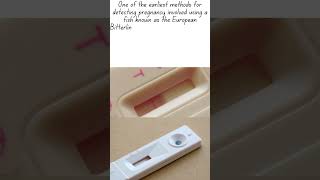 Ancient Pregnancy Test The Bizarre Fish Method That oldest way [upl. by Akinorev]