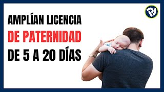 Amplían licencia de paternidad de 5 a 20 días [upl. by Eidnas]