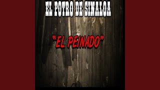 Pedazos de Mi [upl. by Shaia]