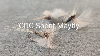 Fly Tying  CDC Spent Mayfly [upl. by Manley324]