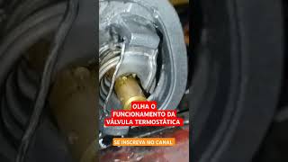 VÁLVULA TERMOSTÁTICA EM FUNCIONAMENTO NO VÍDEO  DICAS AUTOMOTIVAS manutençãoautomotiva [upl. by Winograd]